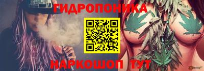 шишки Коммунар